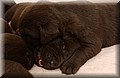 DSC_8862.JPG