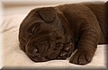 DSC_8879.JPG