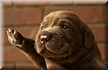 DSC_9178.JPG
