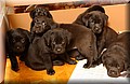 DSC_0063.JPG