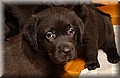 DSC_0102.JPG