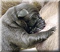 DSC_62~3.JPG
