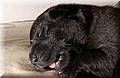 DSC_6788.JPG