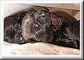 DSC_69266666.jpg