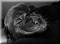 DSC_72~2.JPG