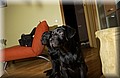 DSC_7742.JPG