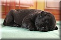 DSC_8216.JPG