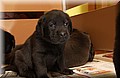 DSC_9015.JPG