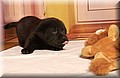 DSC_9150.JPG