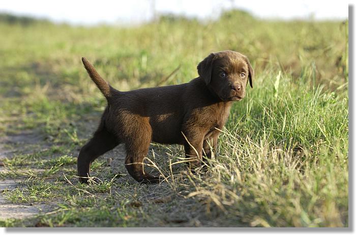 2006-08-09