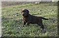 DSC_0370.JPG