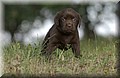DSC_0395.JPG