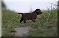 DSC_0482.JPG
