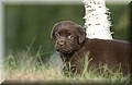 DSC_0504.JPG
