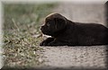 DSC_0525.JPG