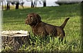 DSC_0571.JPG