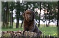 DSC_0747.JPG