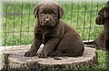 DSC_0773.JPG