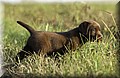 DSC_1157.JPG