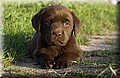 DSC_1175.JPG