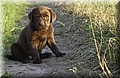 DSC_1200.JPG